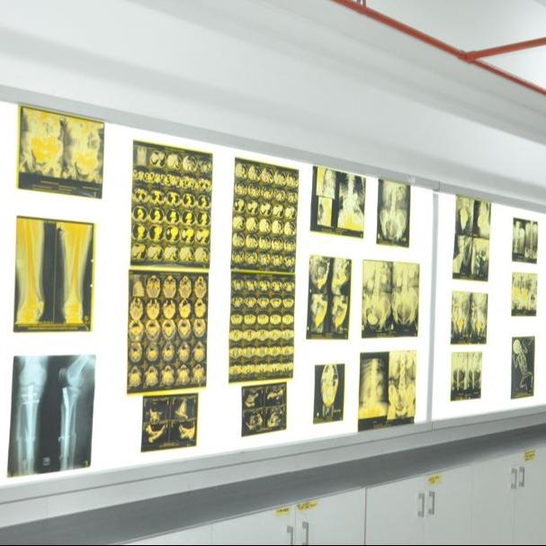 M.S. (Orthopaedics)