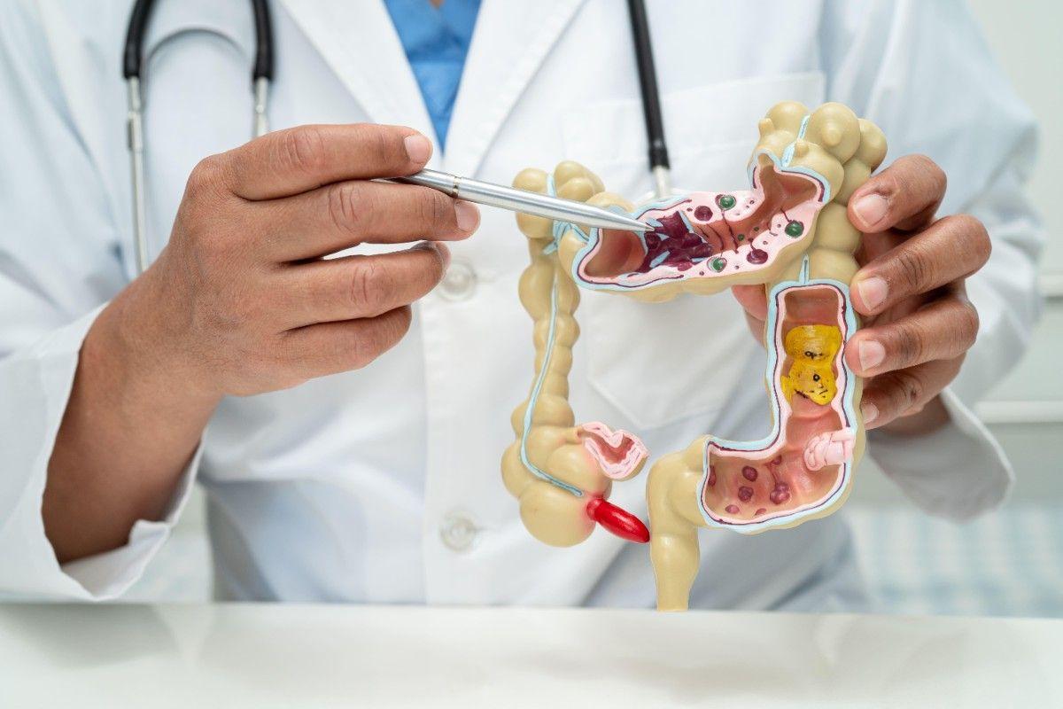 Medical Gastroenterology