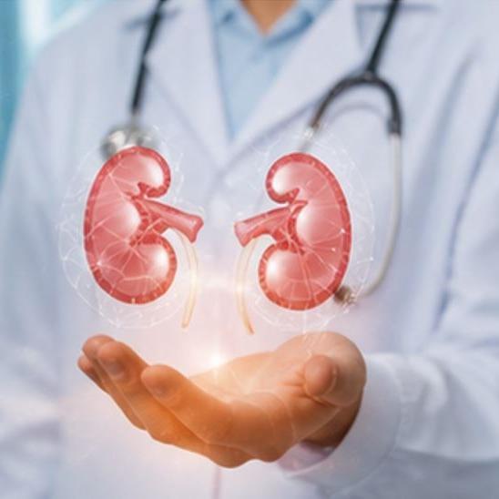 D.M. (Nephrology)
