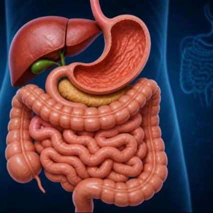 D.M. (Medical Gastroenterology)