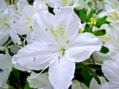Self-Sufficiency with Accountability