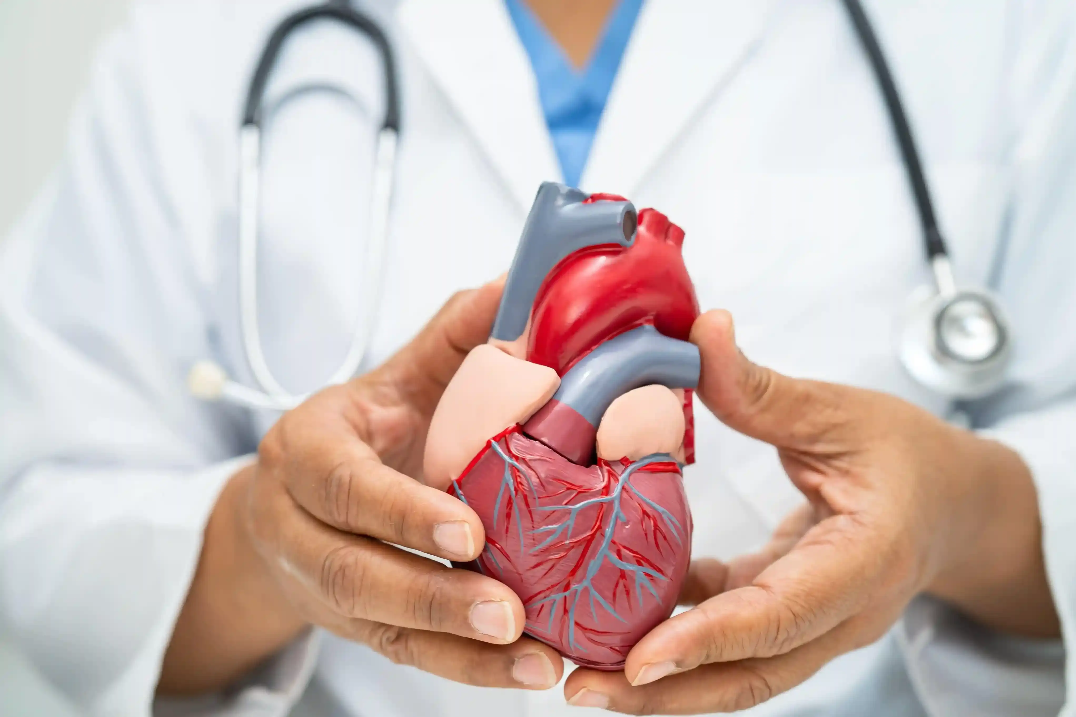 Heart Image